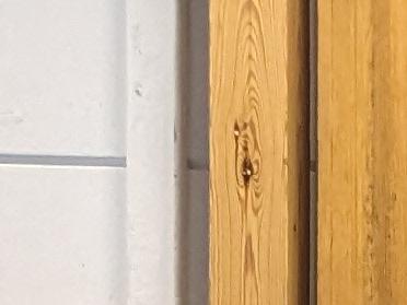 Demokratiarbetet tar aldrig slut