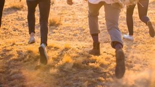 Photo by Jed Villejo on Unsplash