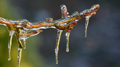 Photo by Damo T. on Unsplash