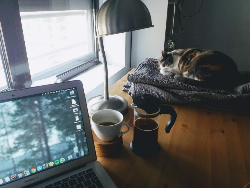Photo by Ioana Tabarcea on Unsplash.